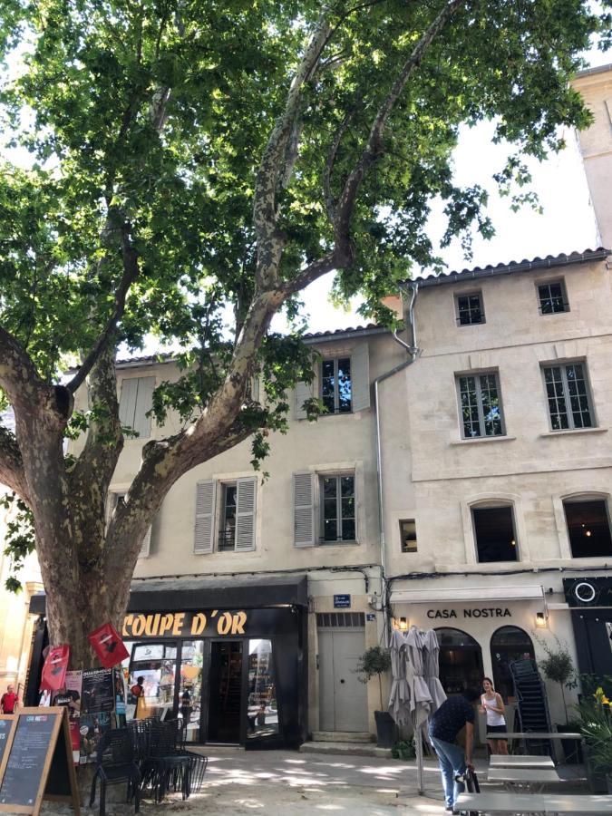 Avignon Pedestrian Area, Charming, 4 Persons Apartman Kültér fotó