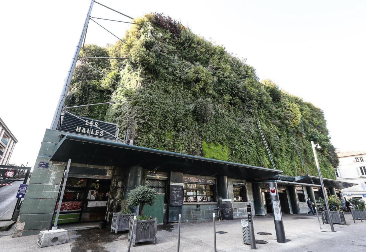 Avignon Pedestrian Area, Charming, 4 Persons Apartman Kültér fotó