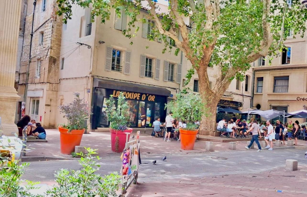 Avignon Pedestrian Area, Charming, 4 Persons Apartman Kültér fotó